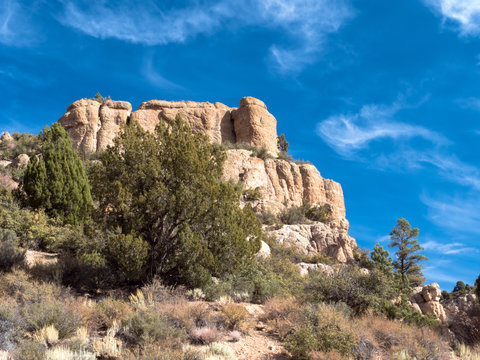 Tall monoliths tower over a pinyon-juniper woodland at Beaver Dam State Park in Nevada
