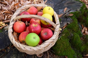 fresh apples in a basket