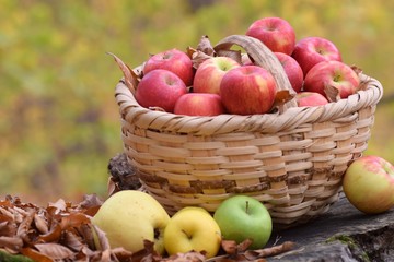 fresh apples in a basket