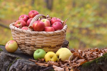 fresh apples in a basket