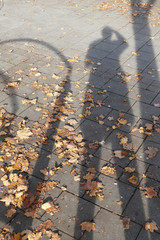 Autumn Shadow watching