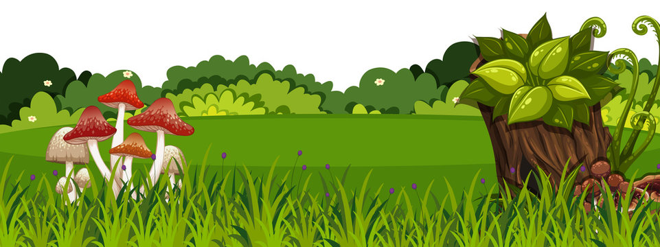 Landscape background with mushroom on green grass