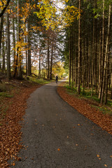 Obraz premium Wandern auf dem Heuberg Böttingen / Königsheim Deutschland
