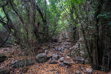 Olympos antique city. Building with mosaic and surrounding ruins. Kemer, Antalya, Turkey.