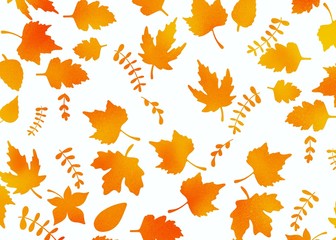 autumn leaves on white background