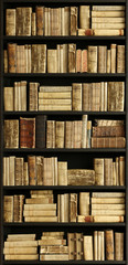 old wooden books. unique private library.