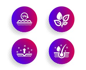 Clean skin, Uv protection and Plants watering icons simple set. Halftone dots button. Serum oil sign. Cosmetics, Skin cream, Water drop. Healthy hairs. Healthcare set. Vector