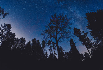 Stunning night photography shots of the milky way, nebulas, stars, and clusters of the night sky.  Bowen Island BC Canada with stunning beaches, forests and clear skies.