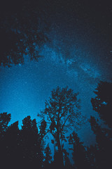 Fototapeta na wymiar Stunning night photography shots of the milky way, nebulas, stars, and clusters of the night sky. Bowen Island BC Canada with stunning beaches, forests and clear skies.