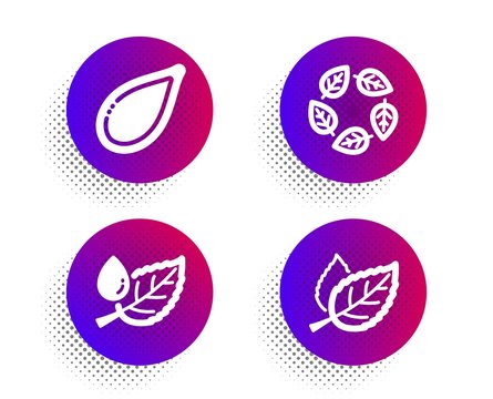 Organic tested, Pumpkin seed and Leaf dew icons simple set. Halftone dots button. Leaf sign. Bio ingredients, Vegetarian food, Water drop. Nature leaves. Nature set. Vector - Powered by Adobe