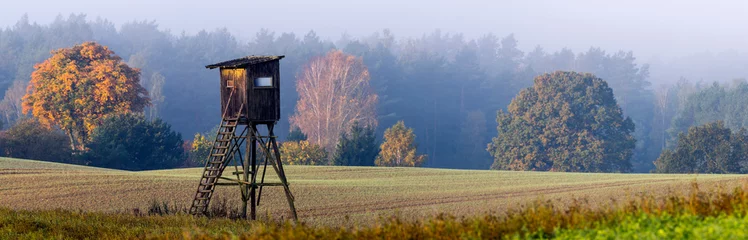 Gordijnen Hunting tower on the edge of the forest during a beautiful sunrise on a foggy morning © Mike Mareen
