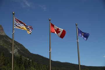 waving flags of canada, british columbia and alberta at continental divide