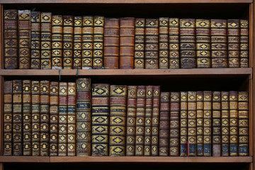 old wooden books. unique private library.