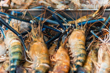 Gambas azules frescas a la venta en una pescadería