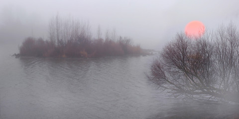 See mit Sträucher im Herbstnebel, Bayern, Deutschland, Panorama