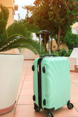 Obraz na płótnie Canvas Small carry-on suitcase next to the plant
