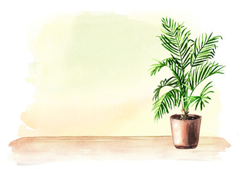 Indoor, home, house plants on the Wooden floor and blank wall, Watercolor hand drawn illustration and background with copy space
