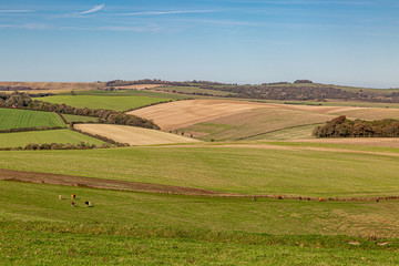 Fototapeta na wymiar An autumnal patchwork landscape in Sussex, on a sunny day