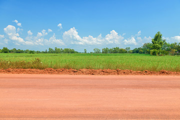 Dirt roadside view with the meadow