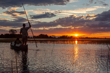 Safari guide with a tourist - Okavango Delta - Botswana - obrazy, fototapety, plakaty