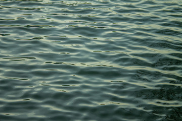 Fototapeta premium Image of ripples on surface of water. 