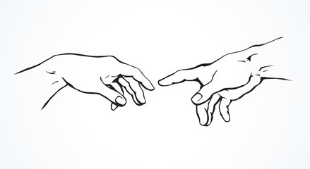 Hands of the creation of Adam. Vector drawing