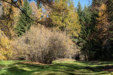 2019_10_trekking in Tret lake, cosy lake in Trentino Alto Adige, colored of autumn season
