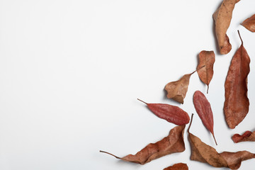 Fototapeta premium Autumn composition. Frame made of autumn leaves, Flat lay leaf on white background, top view, copy space