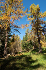 Fototapeta premium 2019_10_trekking in Tret lake, cosy lake in Trentino Alto Adige, colored of autumn season