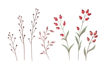 Branches and leaves 3