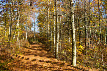 Wacholderhöhe Schwäbische Alb