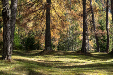 2019_10_trekking in Tret lake, cosy lake in Trentino Alto Adige, colored of autumn season