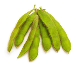 Green soybean pods.