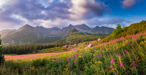 mountain landscape, Tatra mountains panorama, Poland colorful flowers and cottages in Gasienicowa valley (Hala Gasienicowa), summer © tomeyk