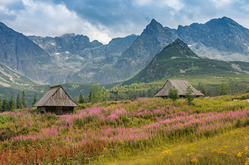 mountain landscape, Tatra mountains panorama, Poland colorful flowers and cottages in Gasienicowa valley (Hala Gasienicowa), summer