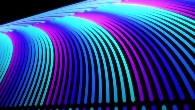 Abstract 3D rainbow-shaped elegant lines moving fast on black background, seamless loop. Animation. Blue and pink bended flowing neon stripes.
