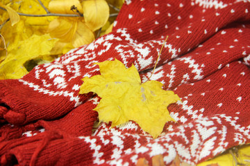 Cup and saucer with lemon and tea in foliage on red scarf with patterns and ceramic figurine of a hedgehog with a book under a mushroom in the autumn foliage with red scarf