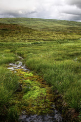 Fototapeta premium HDR image of Landscape in Skaarnja Nature Reserve in Sweden