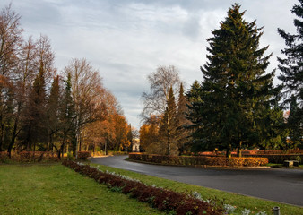 Autumn alleys in a city park on a cloudy October day