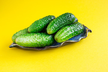 Farm cucumbers gherkins on a yellow background. The concept of vegetarianism and healthy eating. Place for text. Close-up.