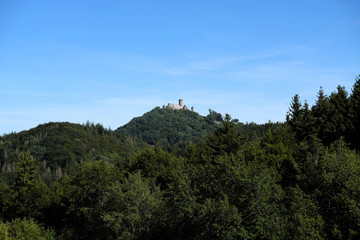 Burg Nürburg in der Eifel und grüner Wald mit vereinzelten abgestorbenen Bäumen im Sommer 2019 - Stockfoto