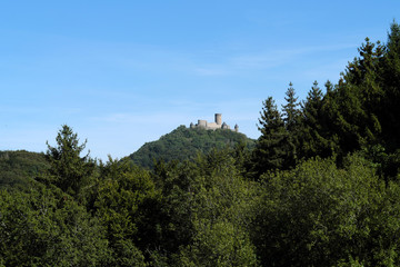 Burg Nürburg in der Eifel und grüner Wald mit vereinzelten abgestorbenen Bäumen im Sommer 2019 - Stockfoto