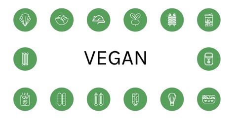 Set of vegan icons such as Salad, Cabbage, Animal testing, Radish, Brussels sprouts, Mint, Potatoes, Cucumber, Zucchini, Onion, Pineapple , vegan