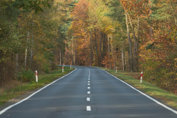 Asfaltowa droga przez jesienny las.