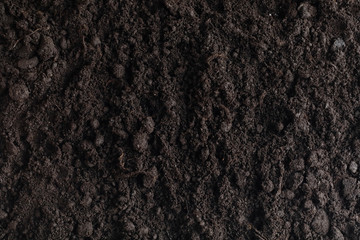 Seeds in the ground. Seed preparation for planting in the spring.