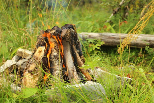 Campfire with several pieces of wood in a stone circle