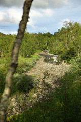 River bed of the stream Renselelva near the cave Marmorgrottan in Norway