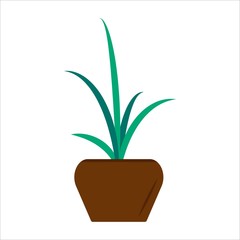 A flower in a pot. Aloe. Home plant on a white background vector