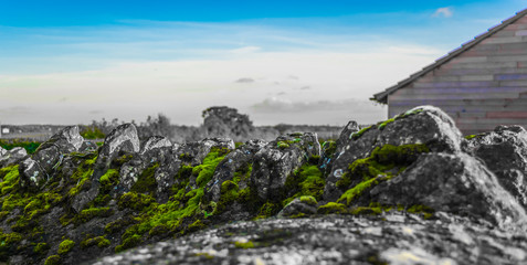 green moss covered wall with view in background and building to side