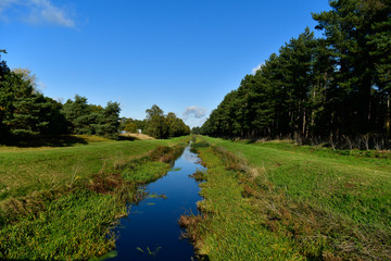 Fototapeta na wymiar flowing river in the park between trees
